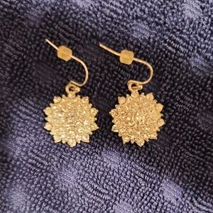 Elegant Silver Dangle Earrings